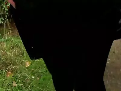 Cum Tüm video (Amanda Black, Christin Queen) yeni türk seks filmleri